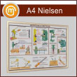 �������� ��������� ����� �Nielsen� �4 �������, ���������, ������� ������